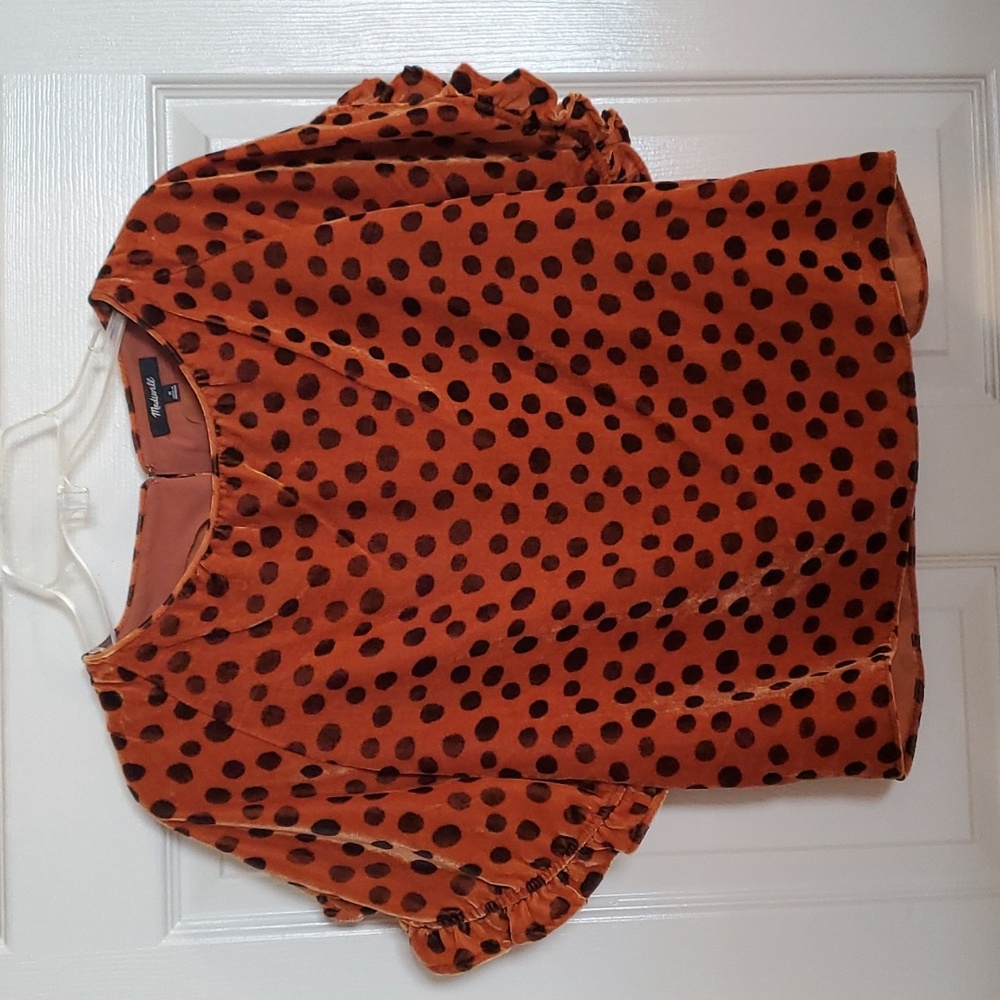 Madewell Memento Velvet Ruffle Sleeve Top, Size M
